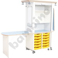 Laboratory cabinet