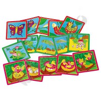 Life cycle sequence cards