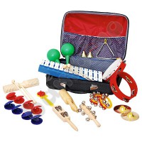 Big instrument kit in suitcase