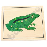 Frog puzzle