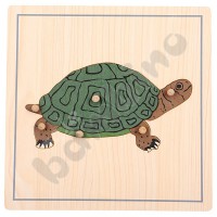 Turtle puzzle