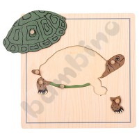 Turtle puzzle