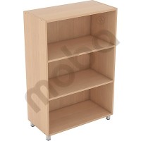 Medium cabinet with 2 shelves