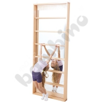 Wall ladder with mirror