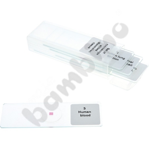 Set of microscope slides
- Mammalian tissues