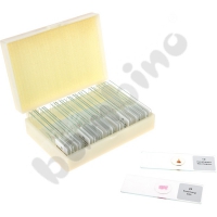 Set of microscope slides
- Zoological preparations