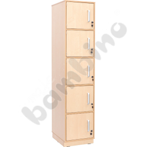 Cabinet Flexi-TB with 5 compartments