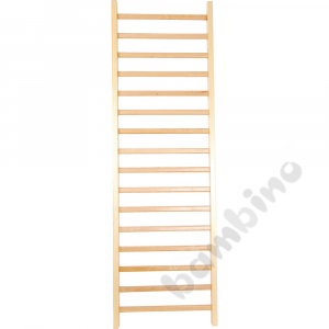 Kindergarten ladder