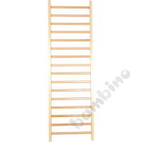 Kindergarten ladder