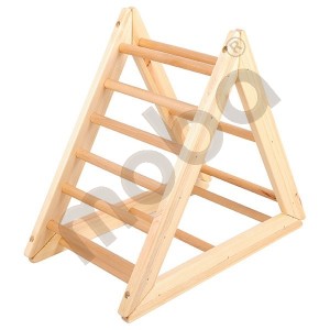 Triangle ladder