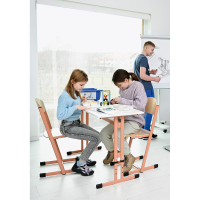 IN-R table double with T chair size 6, salmon